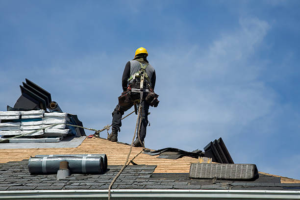 Professional Roofing technician working in Harris, MN